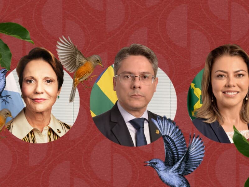 Premiados por avaliação dos jornalistas. - Arte Congresso em Foco