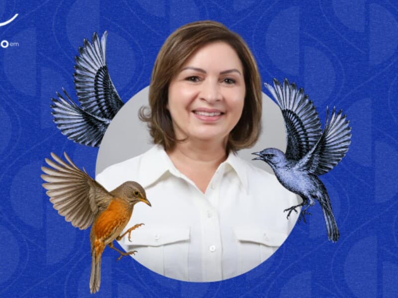 Premiada por votação popular. - Arte Congresso em Foco