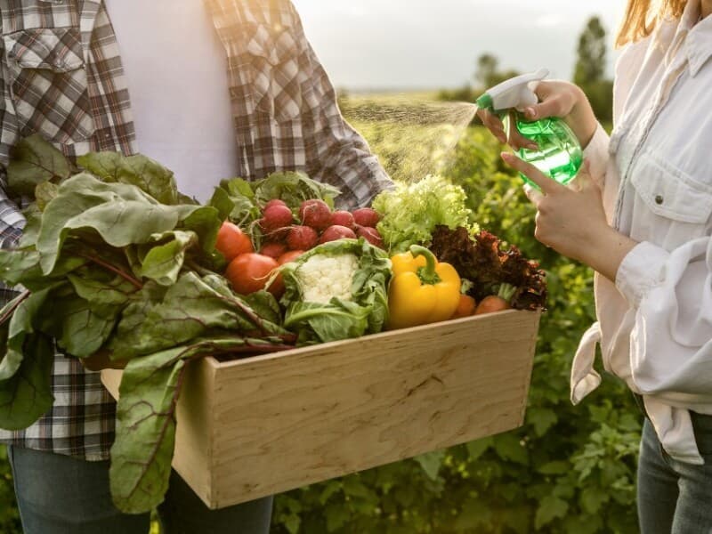 Câmara aprova Política Nacional de Agroecologia e Produção Orgânica