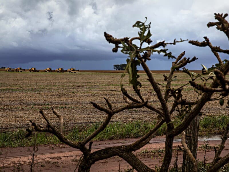 Parecis podem ter multas por atividades agropecuárias anistiadas. - Lalo de Almeida/Folhapress