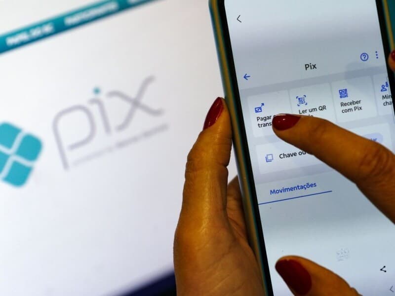 Dados de hospedagem revelaram duas transações via Pix ligadas a um dos sites utilizados no esquema.
- Bruno Peres/Agência Brasil Dados de hospedagem revelaram duas transações via Pix ligadas a um dos sites utilizados no esquema.
- Bruno Peres/Agência Brasil