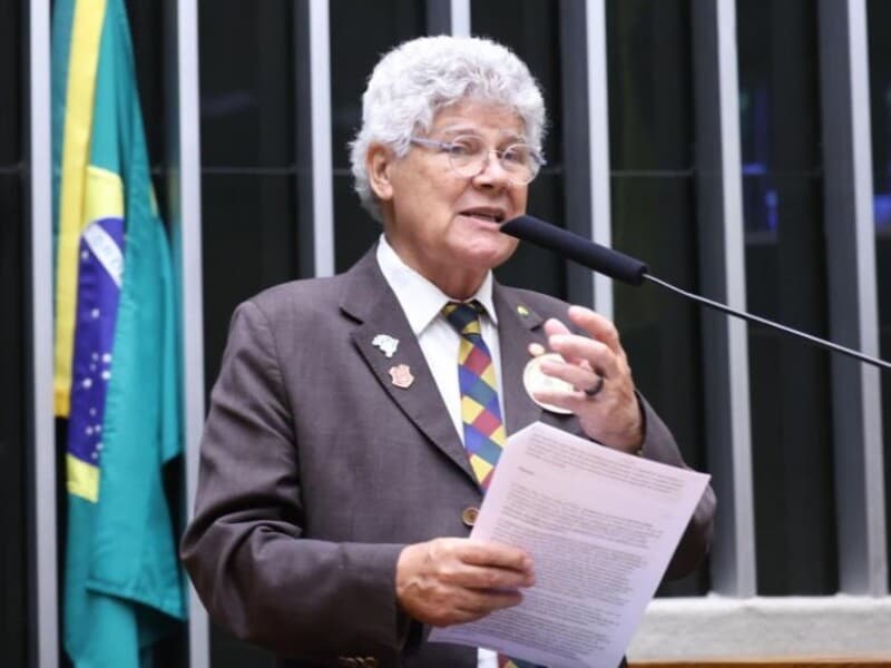 Alencar cita projeto que rebaixava santa a "Padroeira dos católicos apostólicos romanos".
 - Bruno Spada / Câmara dos Deputados