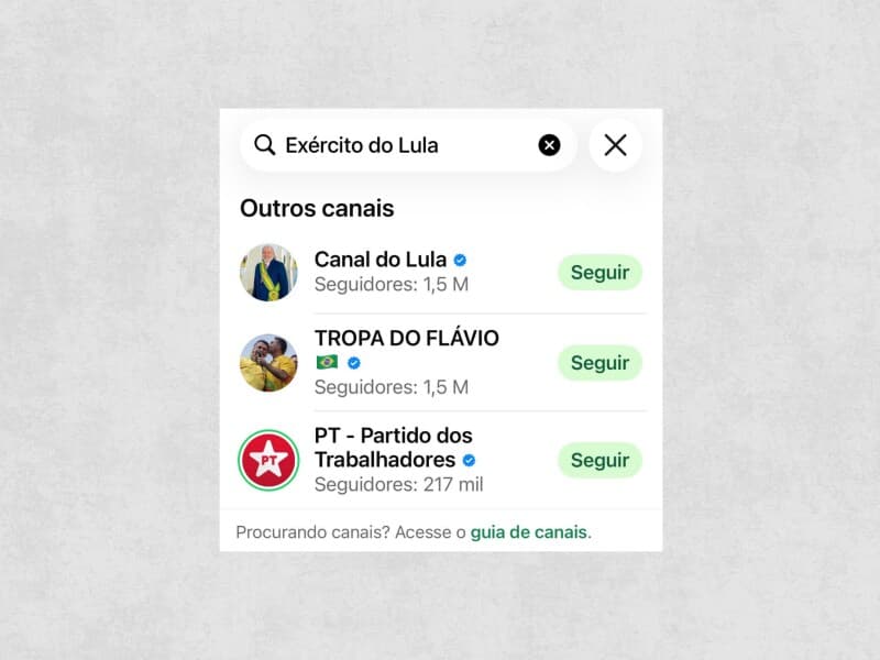 WhatsApp sugere canal de Flávio ao pesquisaro  de Lula. - Reprodução
