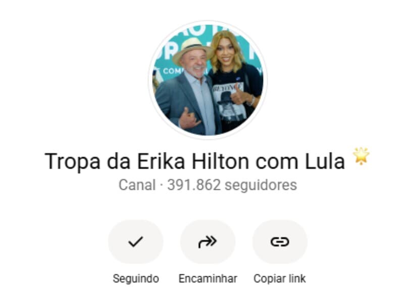 Canal "Tropa da Erika Hilton com Lula". - Reprodução/WhatsApp