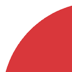 O que o bolsonarismo e o nazismo têm em comum?