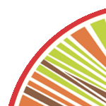 O racismo religioso e o estado brasileiro: as operações policiais nos terreiros de candomblé da Bahia e as reações do povo de terreiro